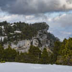 2024-03 - Randonnée en Chartreuse - 03 - Col de l'Alpette et hauts plateaux de Chartreuse - Paysages - 065